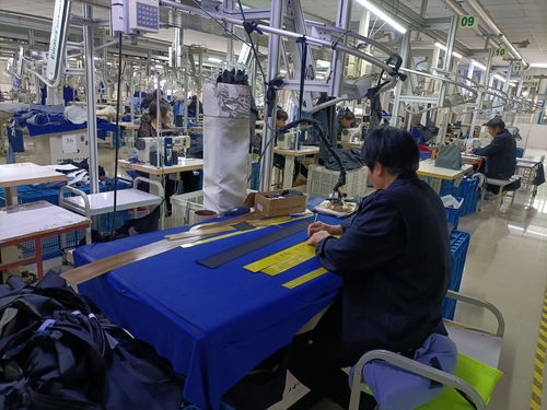 全省服裝產業高質量發展推進會現場觀摩勞動保護用品生產